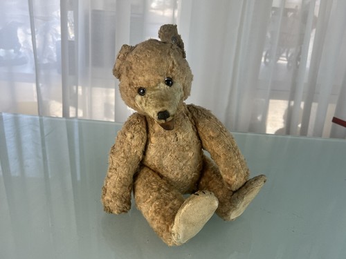 Old steiff animal - old, teddy