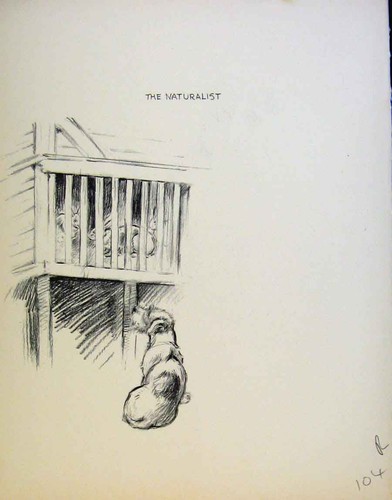 Old antique print just - antique,