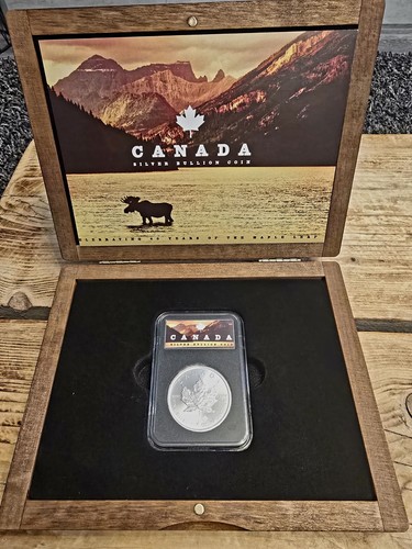 Royal canadian mint 2025 maple - canadian,