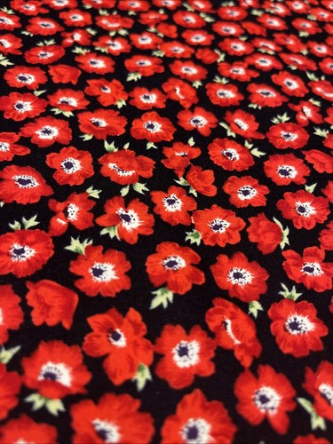 Red and black poppy - and,