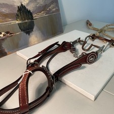 Full bridle w nice bits