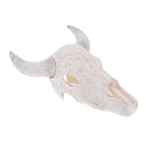 Bull cow skull wall hanging - skull,