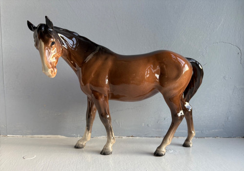 Beswick bay brown - mare, facing