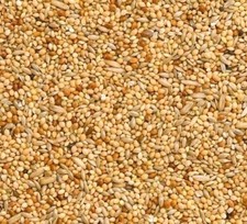 Budgie Food Mix Red White