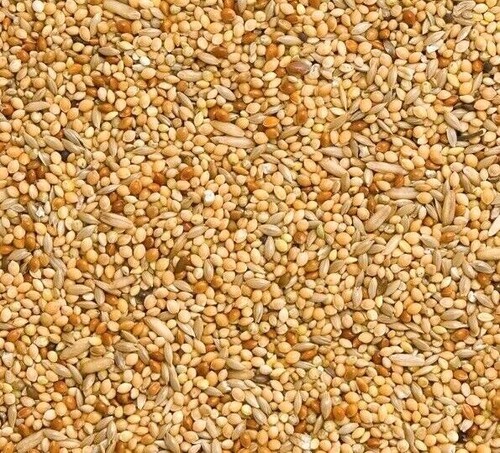 Budgie food mix red white - budgie,