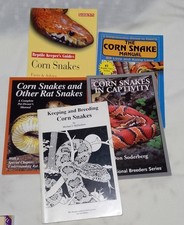Corn snakes  Rat snakes -