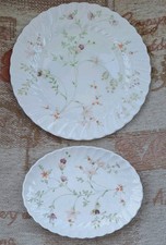 Wedgwood Campion China