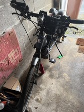 Royal Dutch Gazelle Ultimate