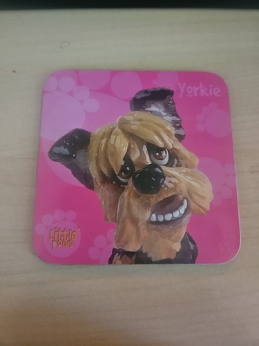Yorkie yorkshire terrier - yorkie,