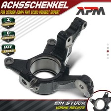Steering Knuckle Suspension
