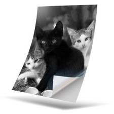 Vinyl sticker bw - x,