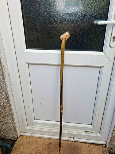 Wooden walking stick - wooden,
