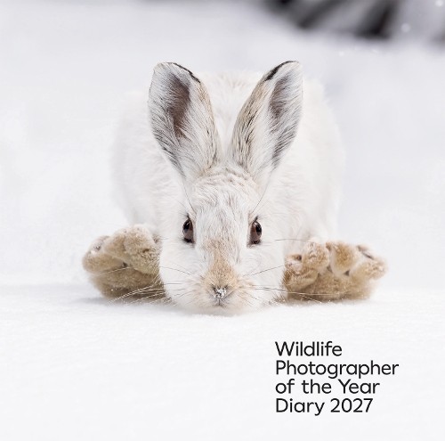Wildlife photographer the - photographer, of