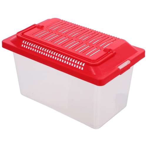 Reptile feeding tank - feeding,
