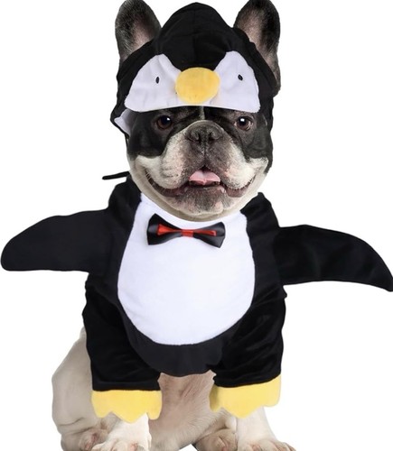 Dog halloween penguin costume - halloween,