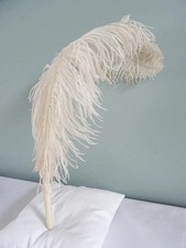 Vintage Single Feather Fan 1920s Cream Celluloid Ostrich Ladies Debutantes Court