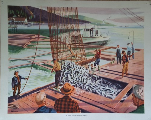 Haul salmon alaska - of,