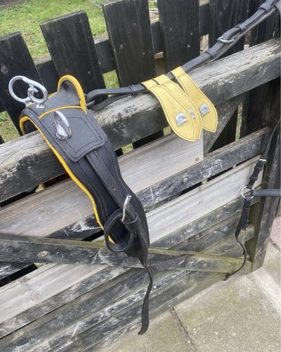 Black leather horse driving - black,