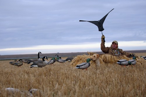 Goose decoy ghg super flag - decoy,