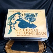 Structure of the Human Brain