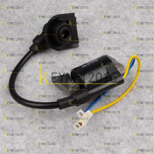 One new kipor ignition coil - new,