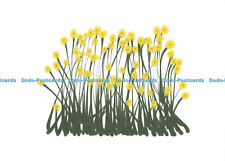 D165877 I m Supporting Marie Curie. Great Daffodil