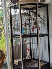 Corner Bird Cage