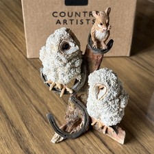 Country Artists Barn Owl