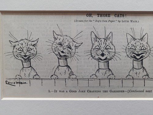 Cats those - cats, '