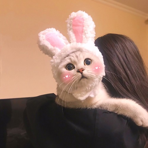 Reusable white bunny ears - reusable,