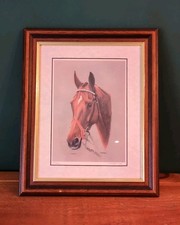 Mysilv Equine Portrait Horse