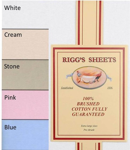 One riggs pillow - pillow, case