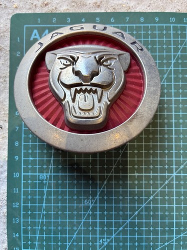 Jaguar front grille growler - front,