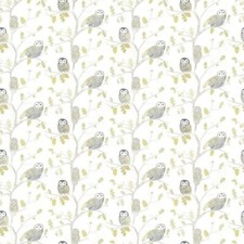 Harlequin - Book of Little Treasures - Little Owls - Kiwi - 112627 - Batch AF