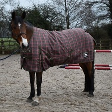 Whitaker Archie Turnout Rug 200gm Waterproof Breathable size 6’6