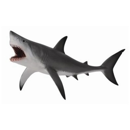 Great white shark with open - white,