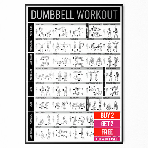 Dumbbell gym workout poster - workout,