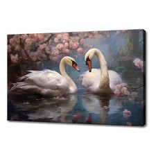 Beautiful Swans Birds Couple