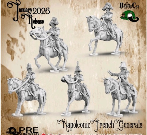 54mm napoleonic french - 54mm,