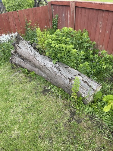 Logs