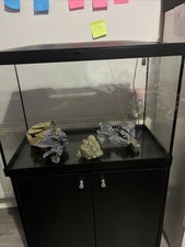 Aquarium fish tank with - tank,