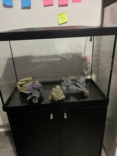Aquarium fish tank - fish,