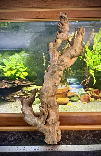 Large aquarium driftwood root - large,
