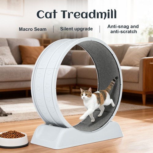 Cat exercise wheel large - exercise,