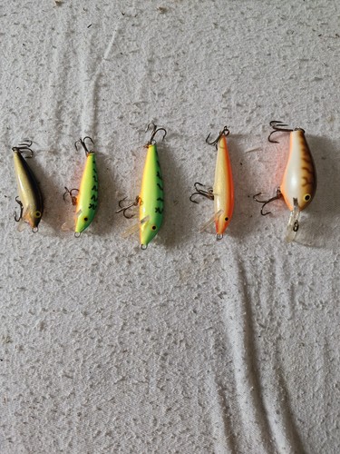 Rapala lures used - x,