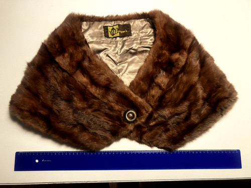 Glamorous 1950 fur - 1950's,