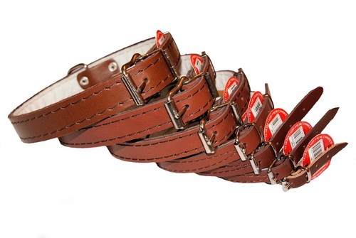 Dog puppy real leather collars - real,