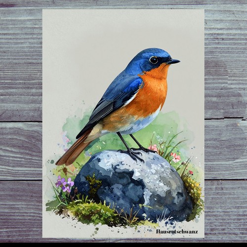 Photo magnet house redtail