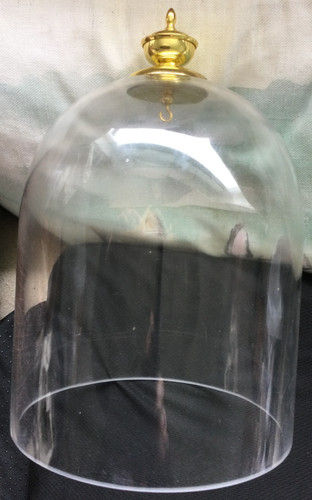 Glass dome cloche with - with, a