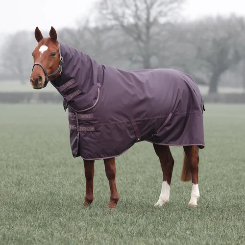 Shires typhoon 100 combo - shires,